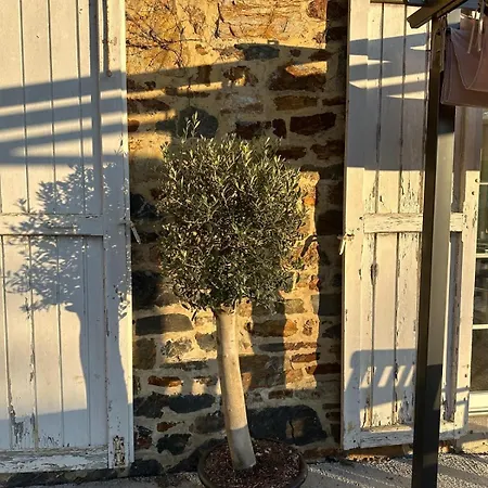 Au Repos Du Vicomte Cockaifagne